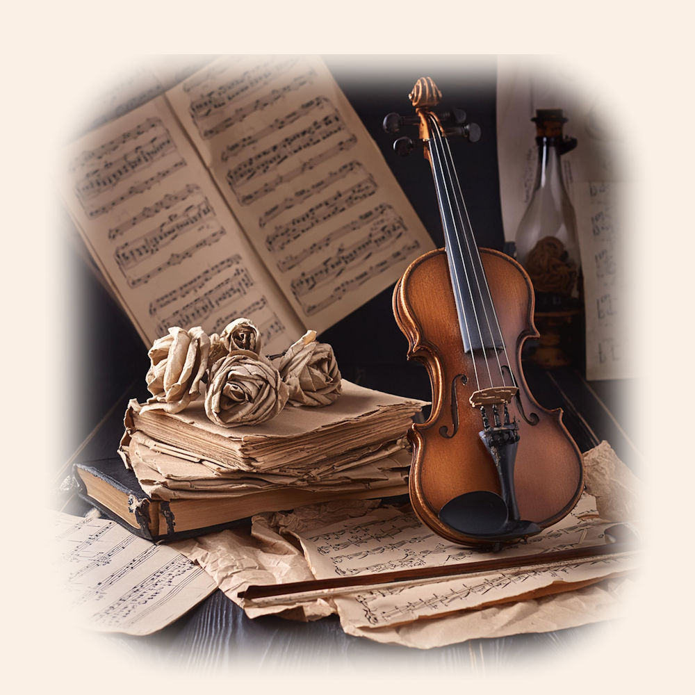 Violin Lesson Palmerston North Resources Instruments and music
